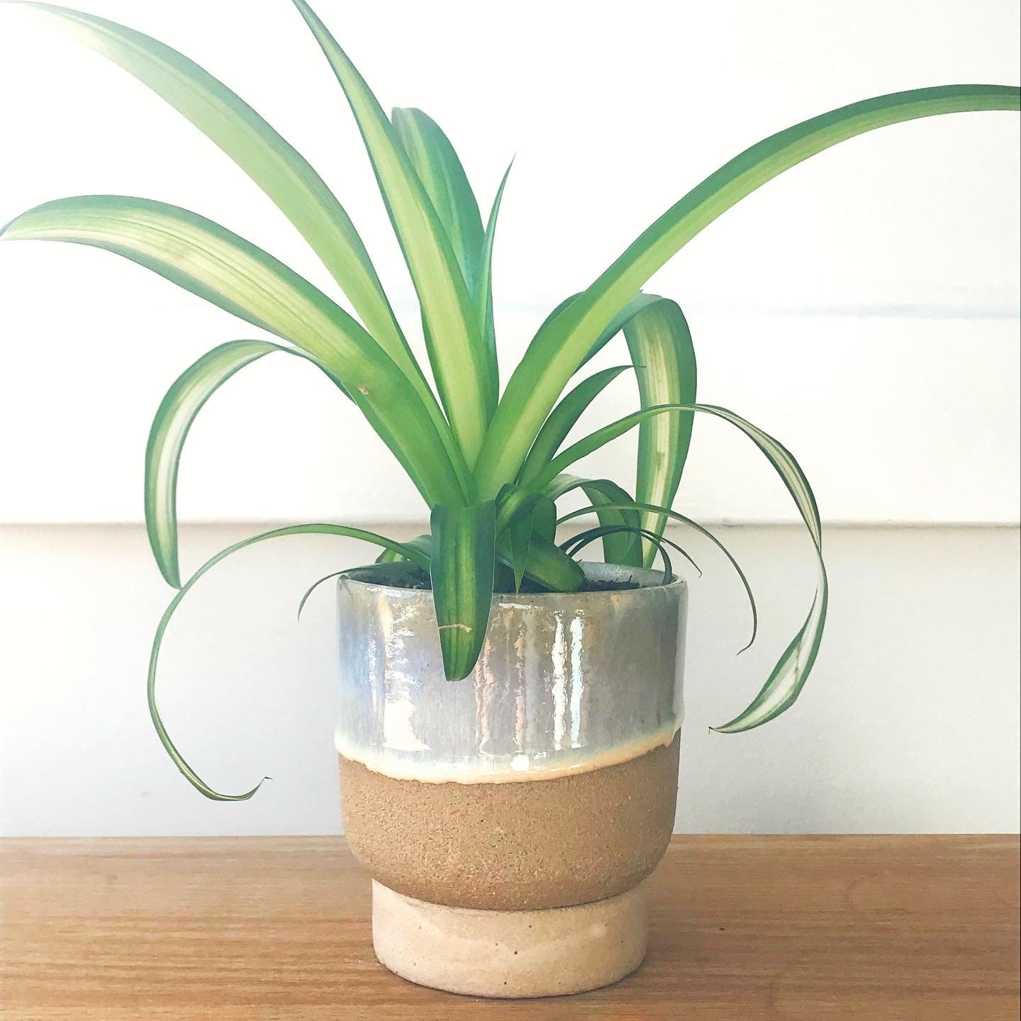 Handmade planter with detachable stand